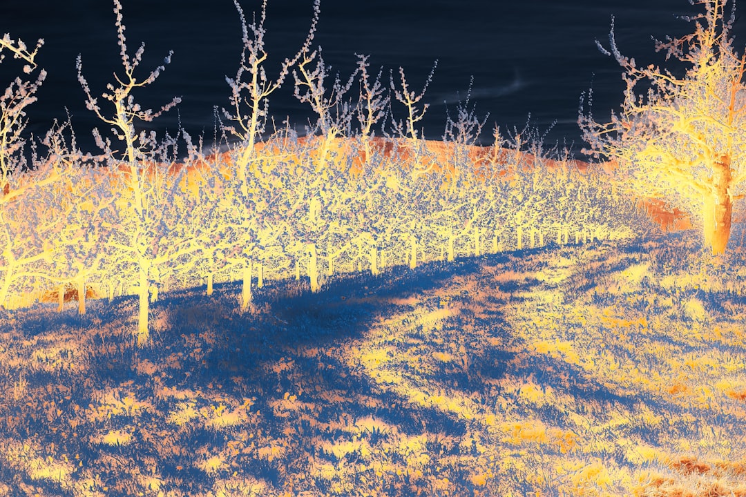 Thermal imaging drone