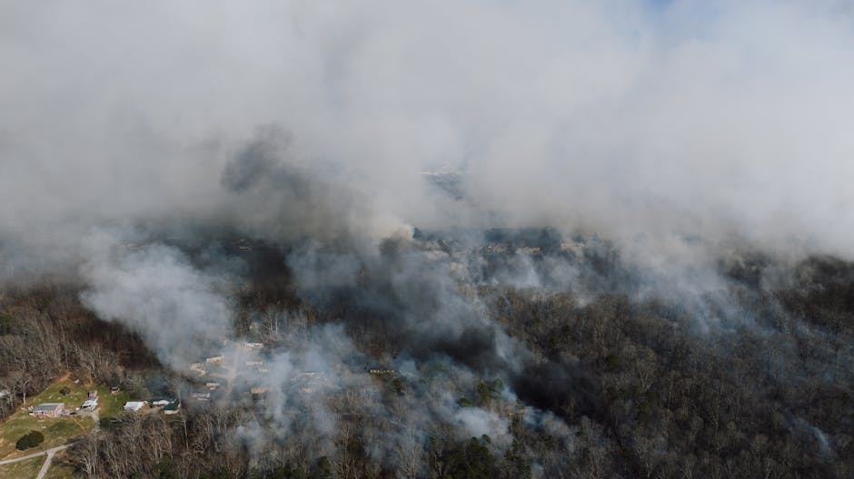 Aerial view of forest fire smoke rising over wooded hills