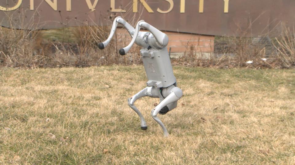 Unitree Go quadruped robot dog on a university campus lawn, used by TRU researchers