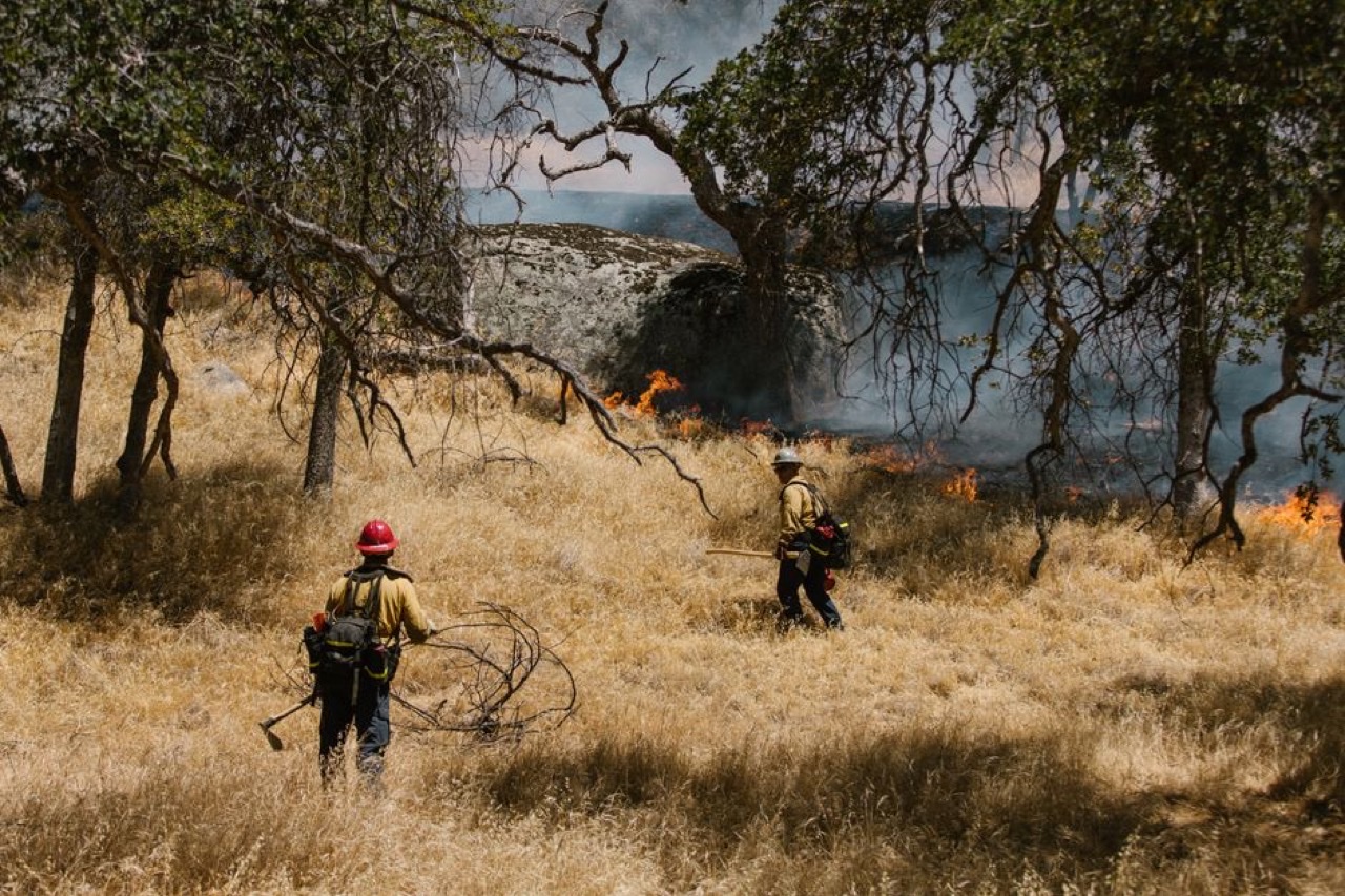 Wildland firefighters working a remote fire line at dusk in rugged forested terrain