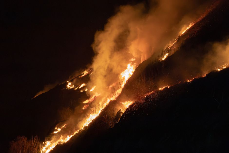 Aerial photograph of landscape showing charred trees and wildland after fire damage